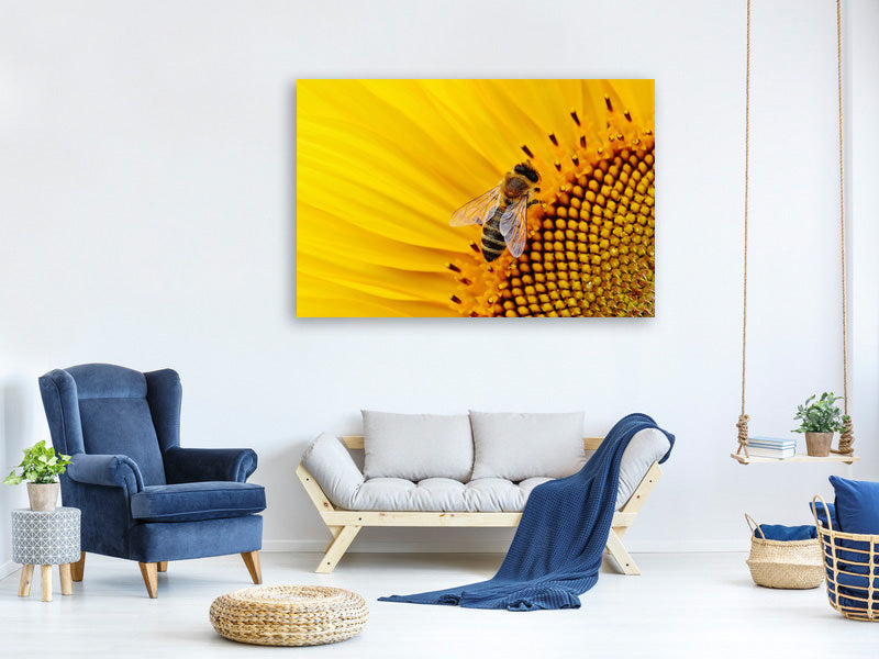 canvas-print-bee-on-the-sunflower
