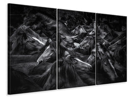 3-piece-canvas-print-acorralados