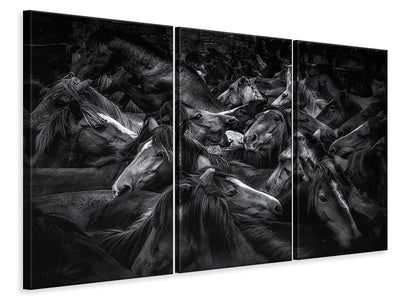 3-piece-canvas-print-acorralados