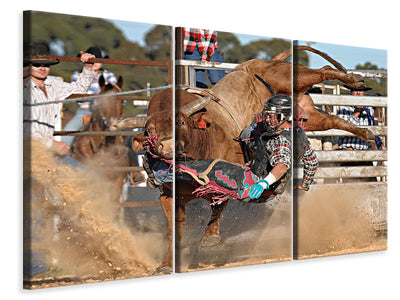 3-piece-canvas-print-bull-ride