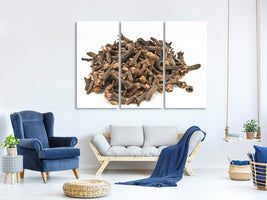 3-piece-canvas-print-cloves