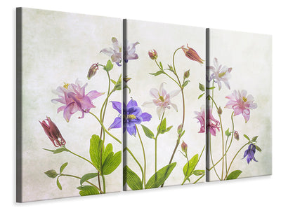 3-piece-canvas-print-columbine