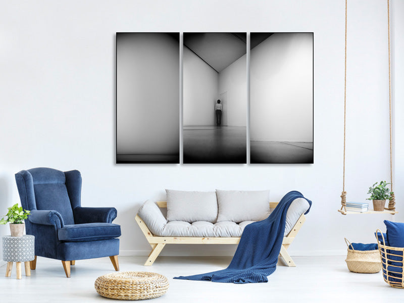 3-piece-canvas-print-evolution