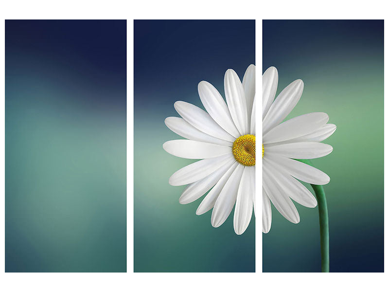3-piece-canvas-print-flower