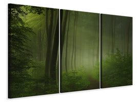 3-piece-canvas-print-forest-morning