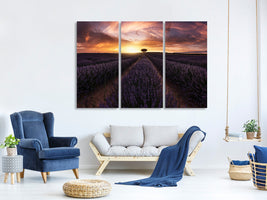 3-piece-canvas-print-lavender-sunset