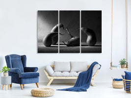 3-piece-canvas-print-murder-or-suicide