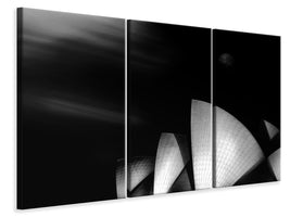 3-piece-canvas-print-operatic