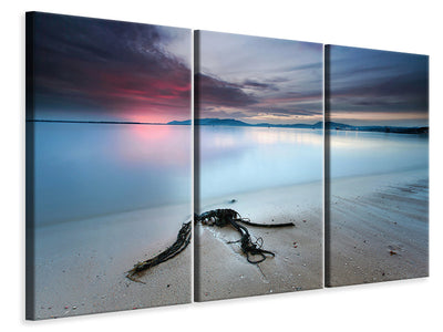 3-piece-canvas-print-read-the-signs
