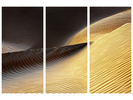3-piece-canvas-print-shapes-of-the-wind-ii