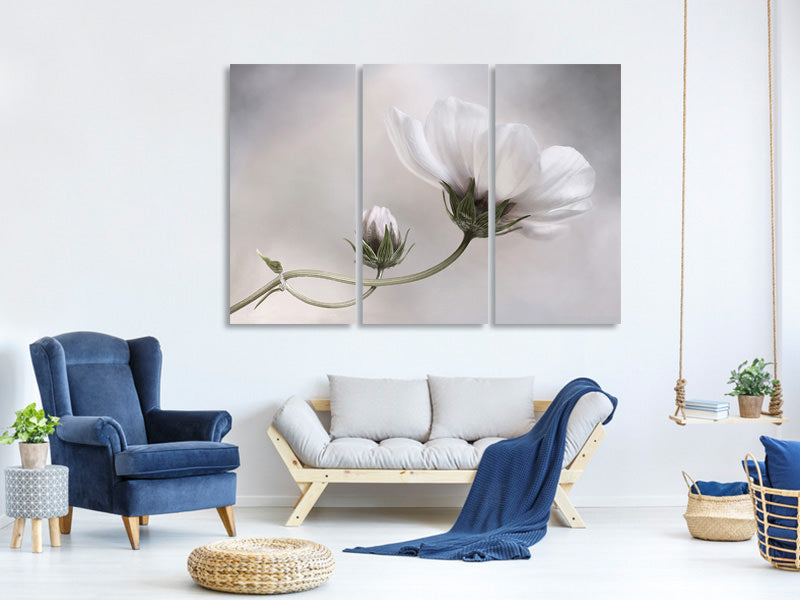 3-piece-canvas-print-simply-cosmos