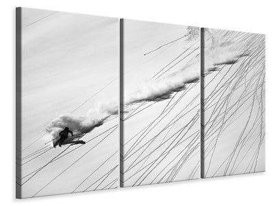 3-piece-canvas-print-skiing-powder