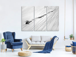 3-piece-canvas-print-skiing-powder