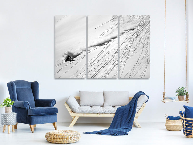 3-piece-canvas-print-skiing-powder