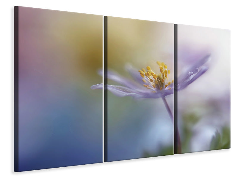 3-piece-canvas-print-springtime-watercolor