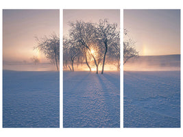 3-piece-canvas-print-swan-lake