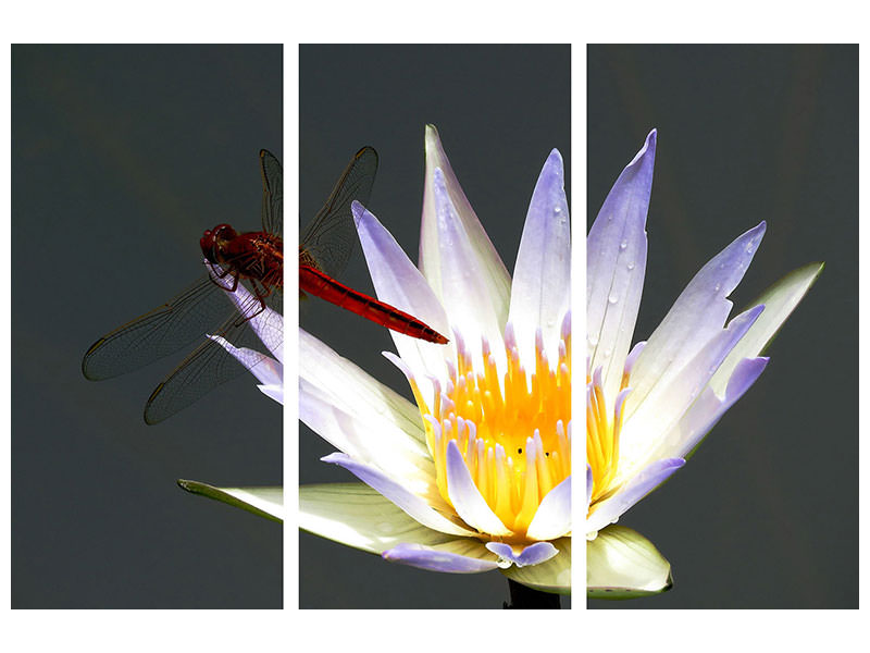 3-piece-canvas-print-the-dragonfly-on-the-flower