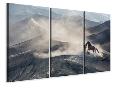 3-piece-canvas-print-the-horseman