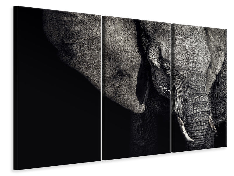 3-piece-canvas-print-the-matriarch