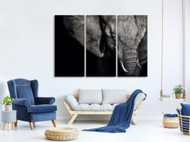 3-piece-canvas-print-the-matriarch