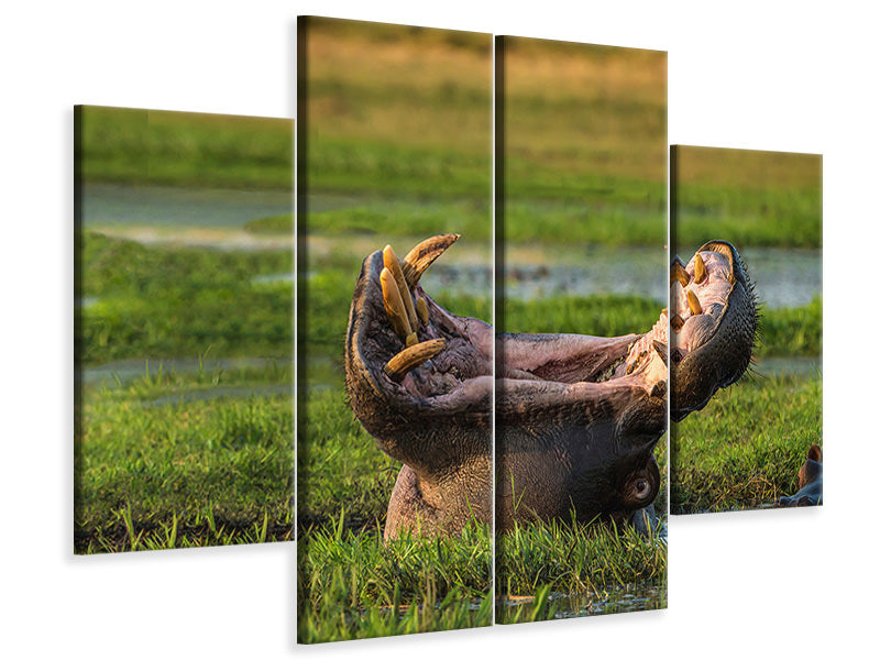 4-piece-canvas-print-dare-to-yawn