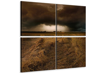 4-piece-canvas-print-straw-country