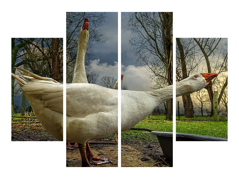 4-piece-canvas-print-the-3-geese