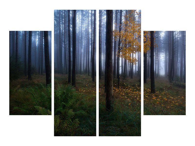 4-piece-canvas-print-the-dark-light