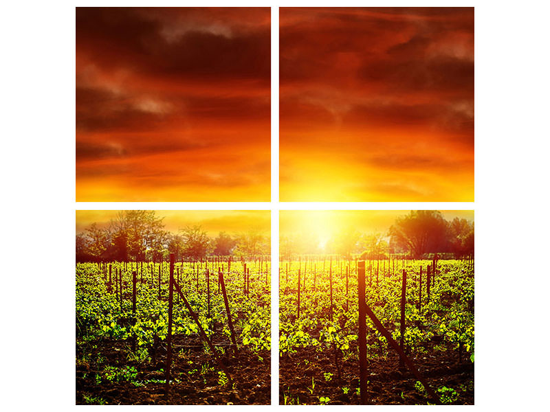 4-piece-canvas-print-the-vineyard-at-sunset