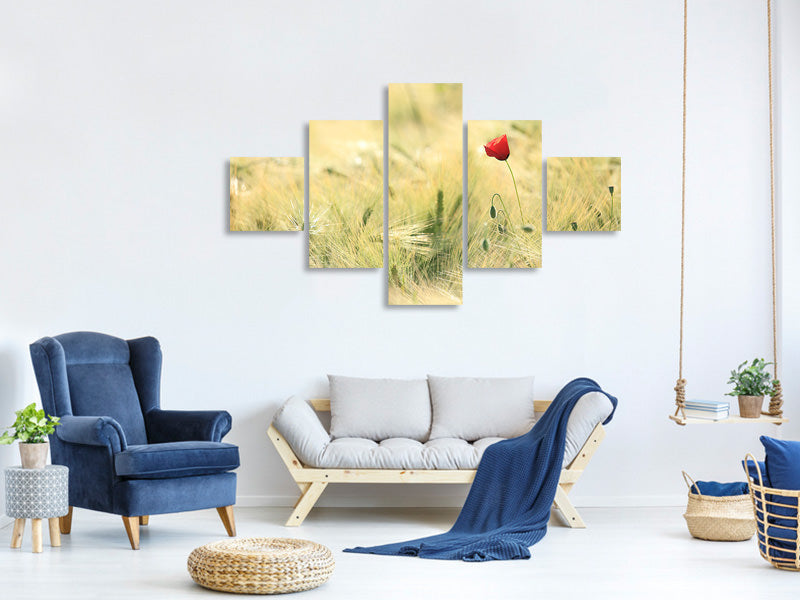 5-piece-canvas-print-a-poppy