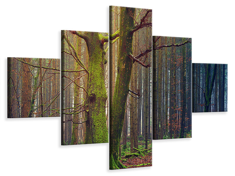 5-piece-canvas-print-alone-in-the-woods