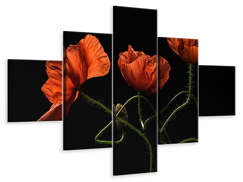 5-piece-canvas-print-around-midnight