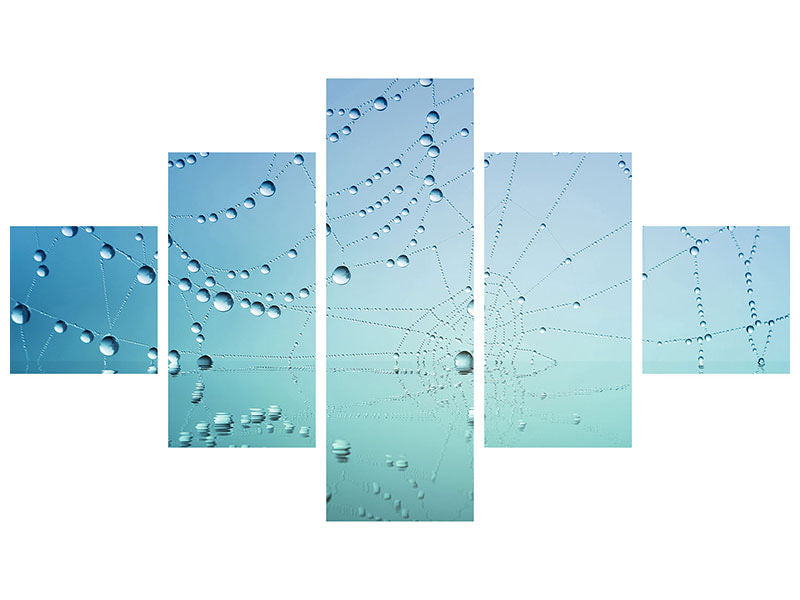 5-piece-canvas-print-cobweb-in-morning-dew