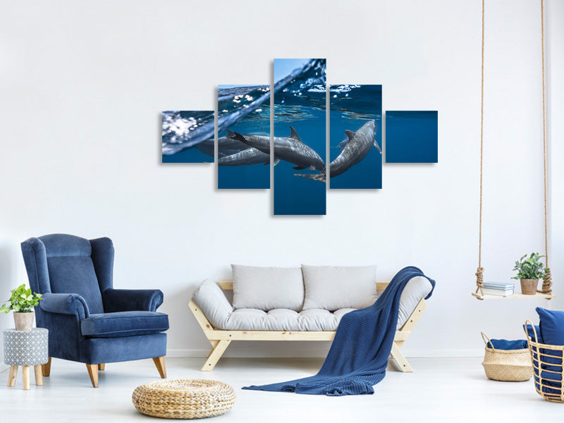 5-piece-canvas-print-dolphins