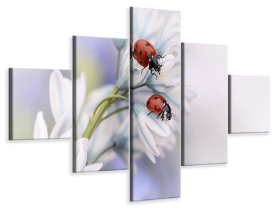 5-piece-canvas-print-ladybirds