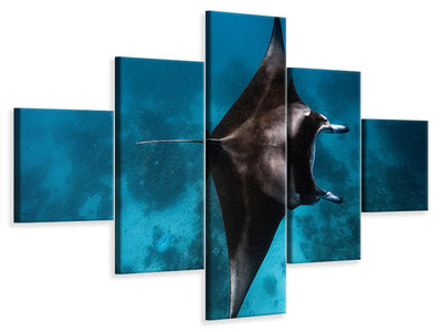 5-piece-canvas-print-manta-fly