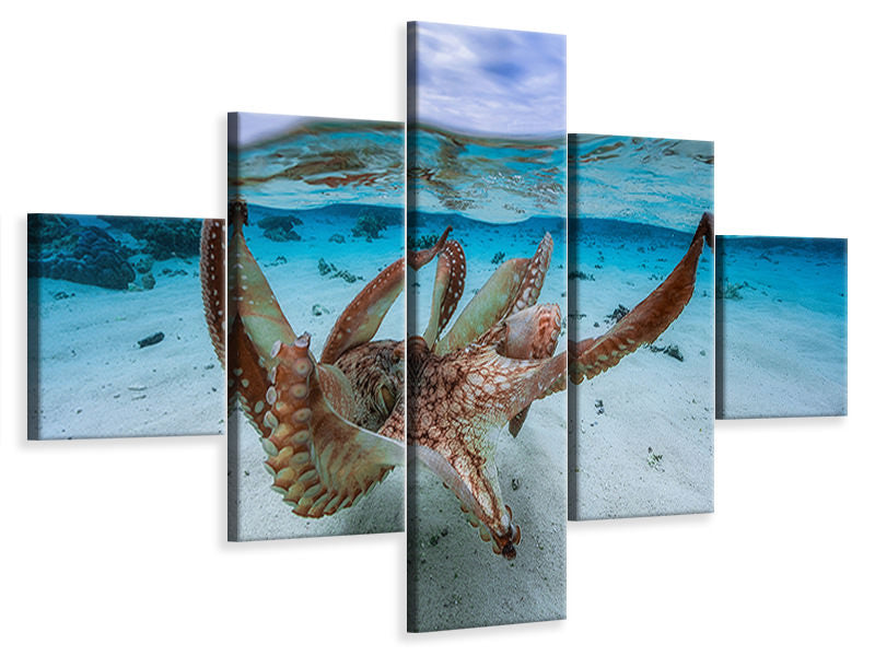 5-piece-canvas-print-octopus-ii