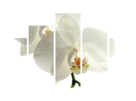 5-piece-canvas-print-orchids-bloom