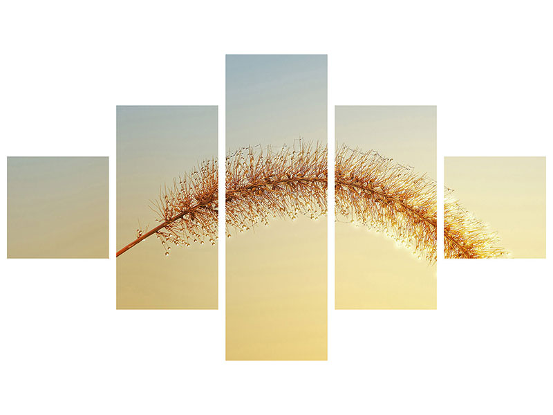 5-piece-canvas-print-ornamental-grass-in-xxl