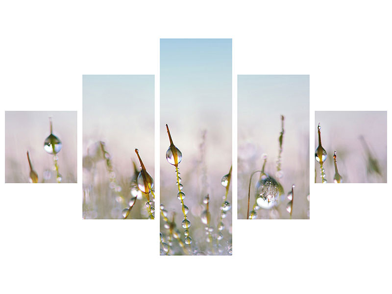 5-piece-canvas-print-the-dew-drops