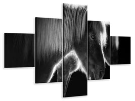 5-piece-canvas-print-two-beautiful-horses