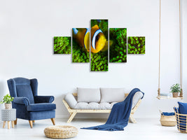 5-piece-canvas-print-yellow-clownfish-on-green-anemon