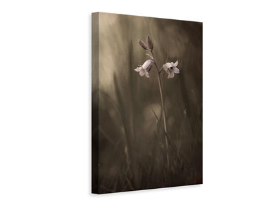 canvas-print-a-small-flower-on-the-ground-x