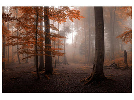 canvas-print-autumn-xdj