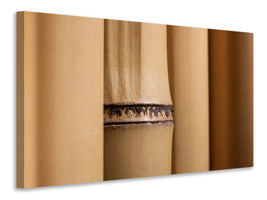 canvas-print-bamboo-close-up