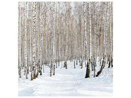 canvas-print-birch-forest-tracks-in-snow