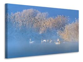 canvas-print-blue-swan-lake