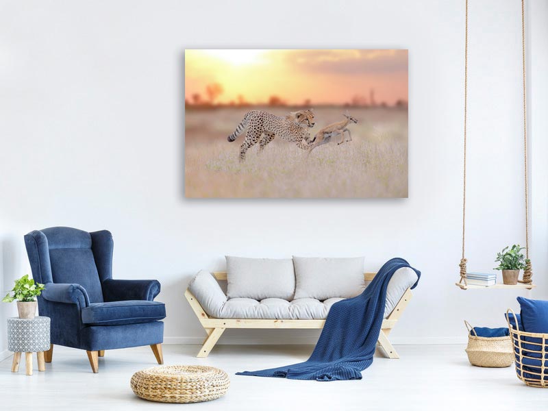 canvas-print-cheetah-hunting-a-gazelle-x