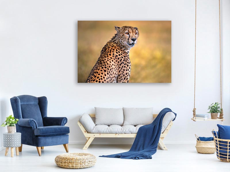 canvas-print-cheetah-portrait-x