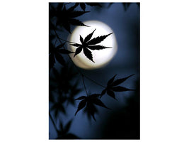 canvas-print-color-of-japan-x